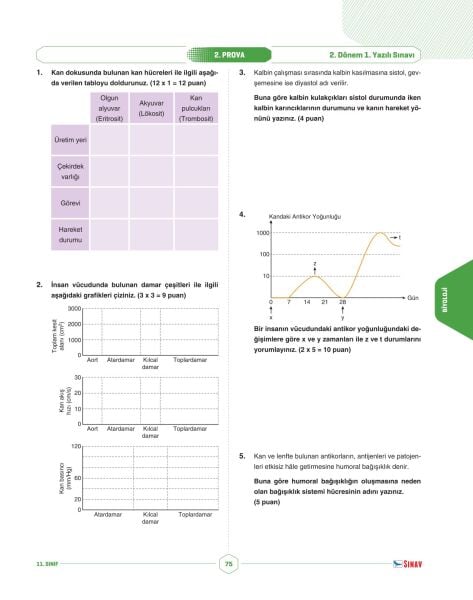 Sınav Yayınları 11. Sınıf Sayısal Tüm Dersler 2. Dönem 1. Yazılı Kitabı