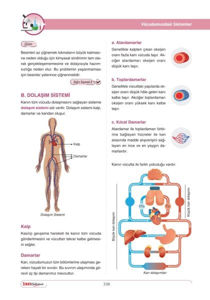 Sınav Yayınları Sınav Kalitesinde 7. Sınıf Tüm Dersler Konu Anlatımlı