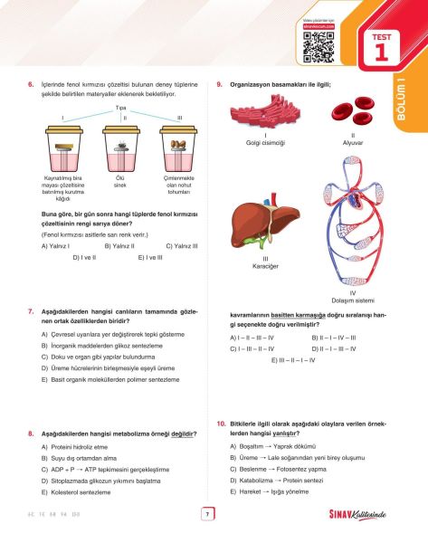 Sınav Yayınları Sınav Kalitesinde TYT Biyoloji Soru Bankası