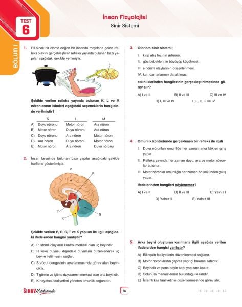 Sınav Yayınları Sınav Kalitesinde AYT Biyoloji Soru Bankası