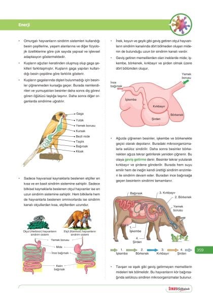 Sınav Yayınları Sınav Kalitesinde 10. Sınıf Tüm Dersler Konu Anlatımlı