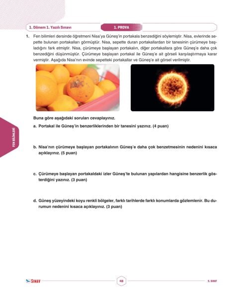 Sınav Yayınları 5. Sınıf Tüm Dersler 1. Dönem 1. Yazılı Kitabı