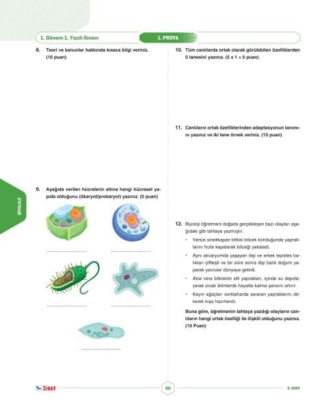 Sınav Yayınları 9. Sınıf Tüm Dersler 1. Dönem 1. Yazılı Kitabı