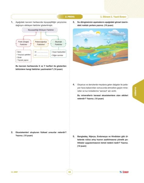 Sınav Yayınları 11. Sınıf Eşit Ağırlık Sözel Tüm Dersler 1. Dönem 1. Yazılı Kitabı