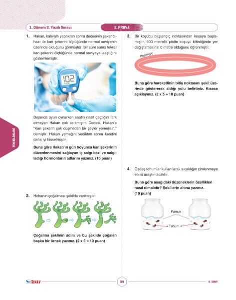 Sınav Yayınları 6. Sınıf Tüm Dersler 1. Dönem 2. Yazılı Kitabı