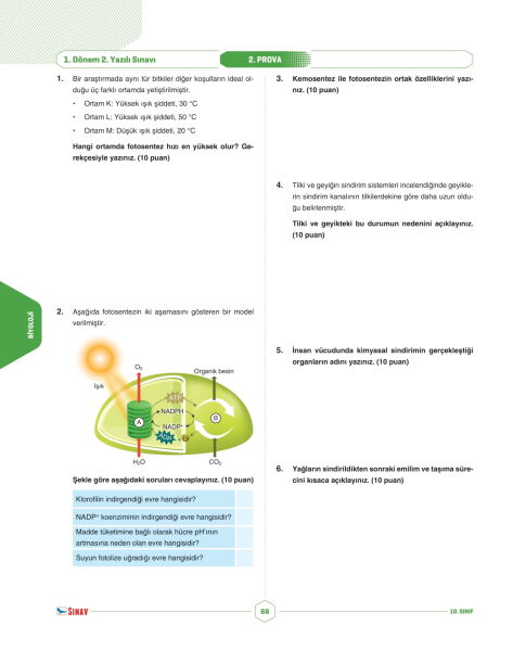 Sınav Yayınları 10. Sınıf Tüm Dersler 1. Dönem 2. Yazılı Kitabı